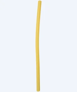 Best Watery pool noodle - Loch - Gul