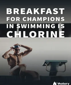Watery svømmeplakat - Breakfast for champions in swimming is chlorine